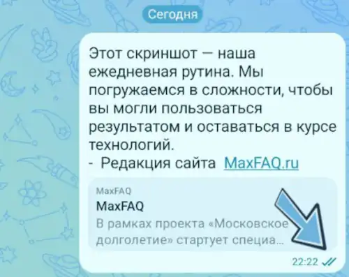 две галочки в чате макс
