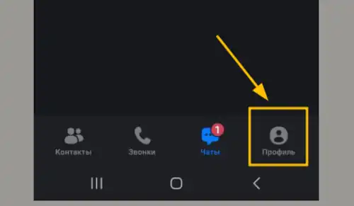 открыть профиль пользователя в Макс