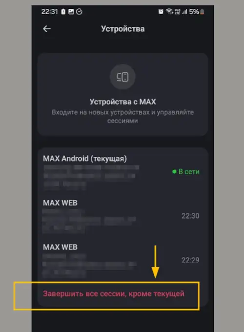 завершить все сессии в макс кроме текущей