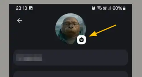 Значок редактирования фото профиля в Макс