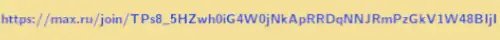ссылка на приватный канал в мессенджере макс