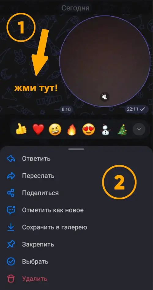 видеосообщение в чате макс