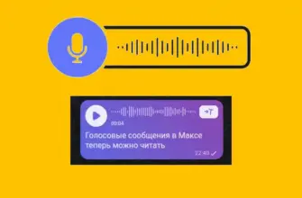 скриншот расшифровки голосового сообщения в максе
