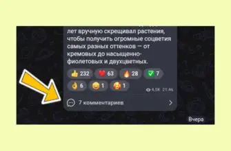 макс тестирует комментарии скриншот поста с комментами